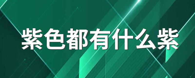 紫色都有什么紫 紫色分类