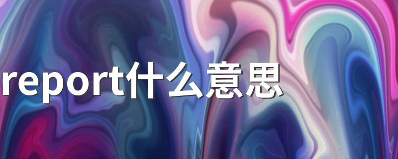 report什么意思 report怎么造句