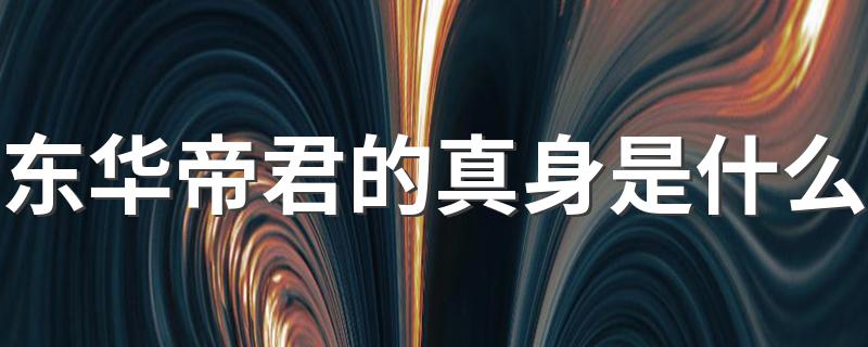 东华帝君的真身是什么 真身是紫晶石