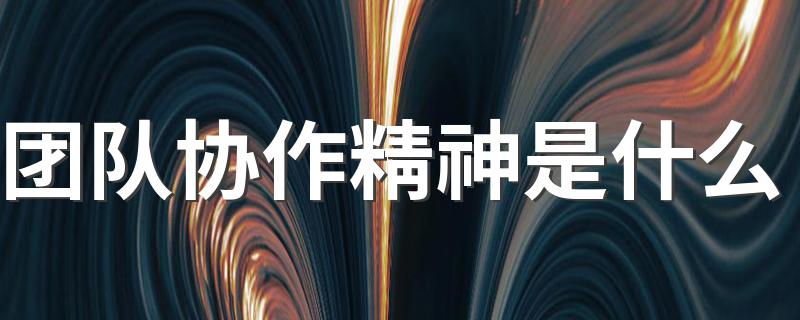 团队协作精神是什么 团队协作精神概念