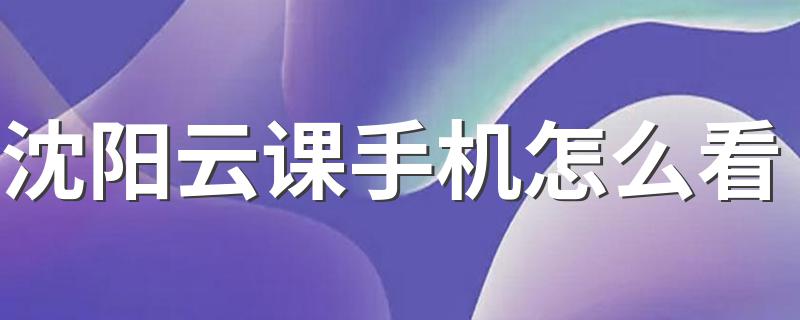 沈阳云课手机怎么看 四种大平台均可登陆