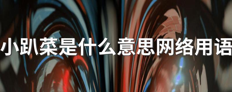 小趴菜是什么意思网络用语
