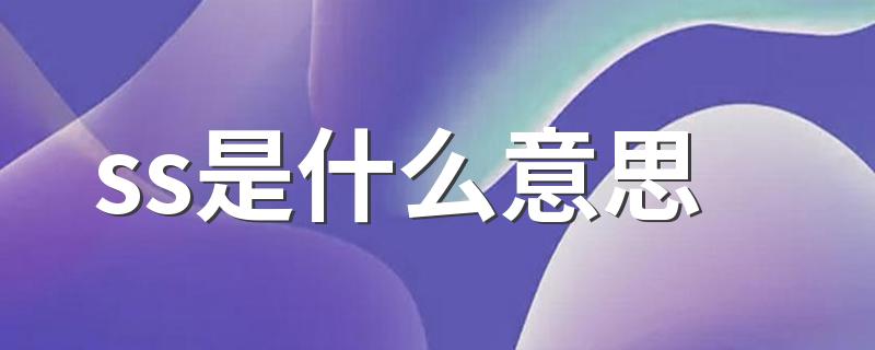 ss是什么意思 ss是什么含义