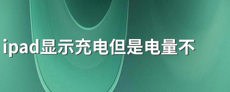 ipad显示充电但是电量不涨 遇到这种情况这样子做就好了