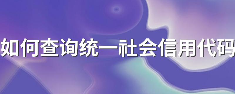 如何查询统一社会信用代码 什么是统一社会信用代码