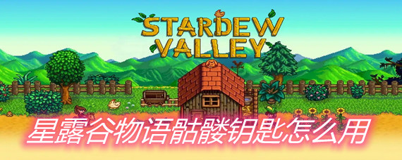 星露谷物语骷髅钥匙怎么用