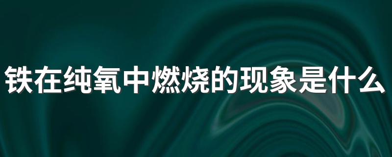铁在纯氧中燃烧的现象是什么 铁在纯氧中燃烧有什么现象呢