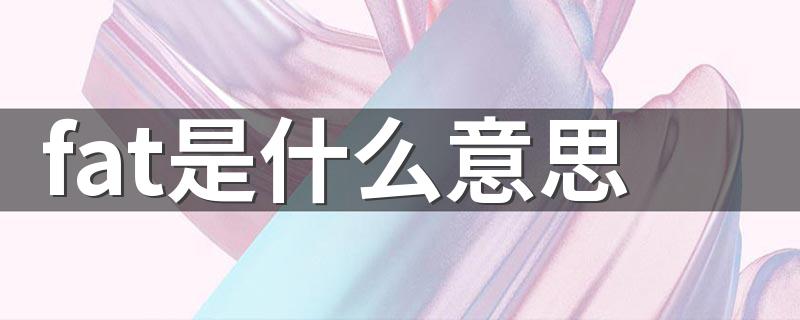 fat是什么意思 fat中文释义
