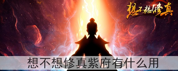 想不想修真紫府有什么用_紫府作用介绍_想不想修真