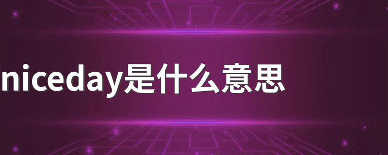 niceday是什么意思 niceday汉语意思是什么