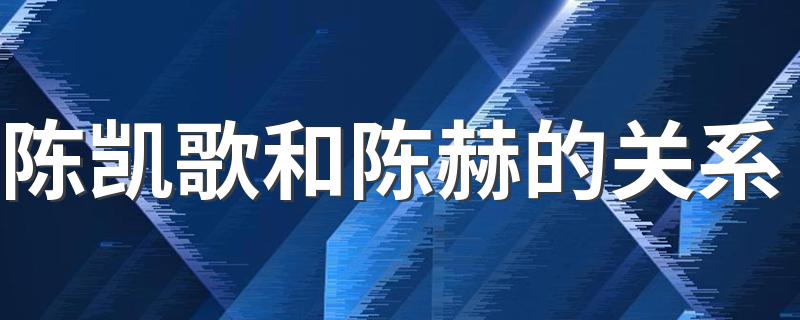陈凯歌和陈赫的关系 什么关系？