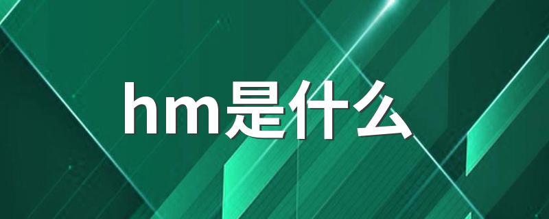 hm是什么 hm介绍