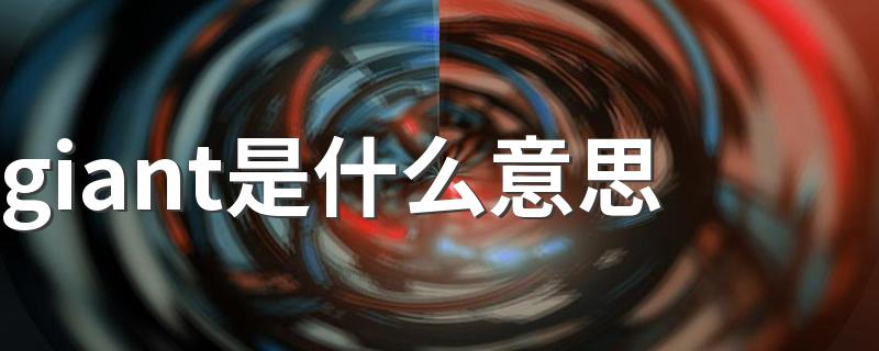 giant是什么意思 giant的解释