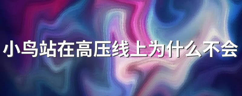 小鸟站在高压线上为什么不会触电 小鸟不会触电的原理