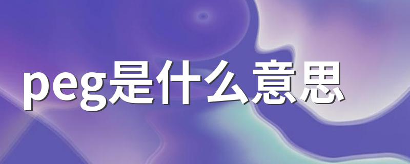 peg是什么意思 怎么理解peg的意思