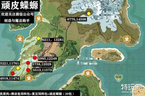 顽皮蝾螈在哪_创造与魔法顽皮蝾螈捕捉攻略
