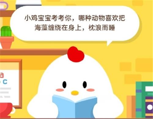 蚂蚁庄园5月20日答案_哪种动物喜欢把海藻缠绕在身上枕浪而睡