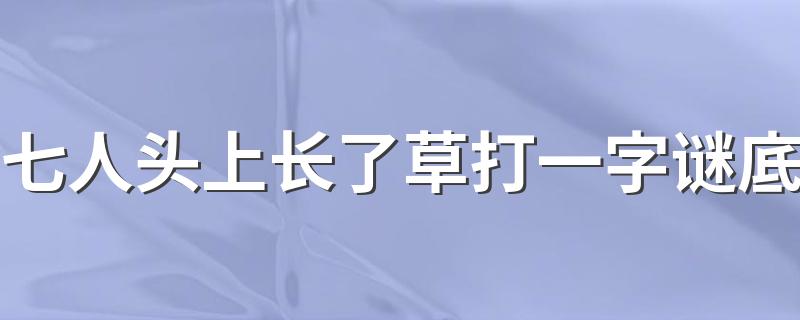 七人头上长了草打一字谜底 字谜七人头上长了草是什么字