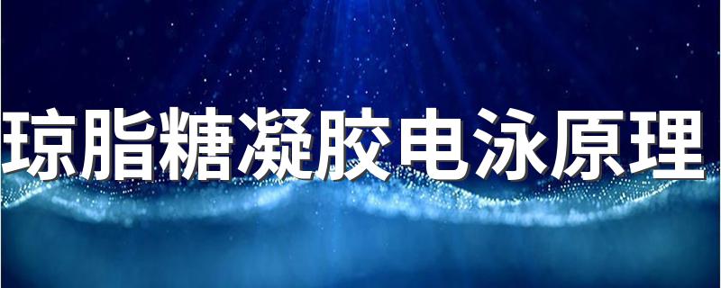 琼脂糖凝胶电泳原理 琼脂糖凝胶电泳原理简述