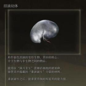 QQ截图20220301095542.jpg