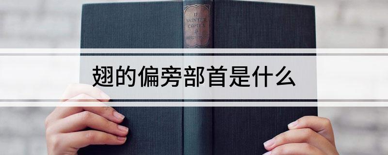 翅的偏旁部首是什么