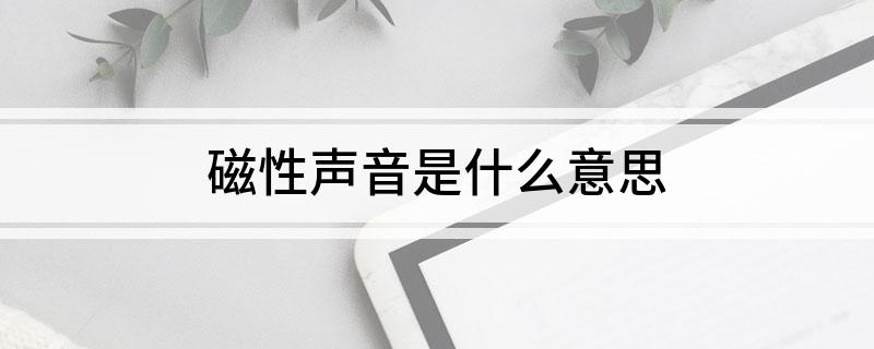 磁性声音是什么意思