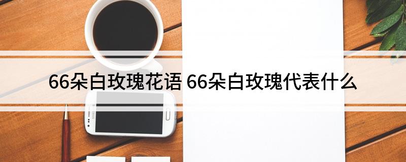 66朵白玫瑰花语 66朵白玫瑰代表什么