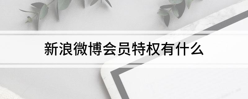 新浪微博会员特权有什么