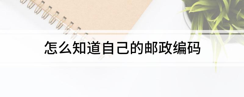 怎么知道自己的邮政编码