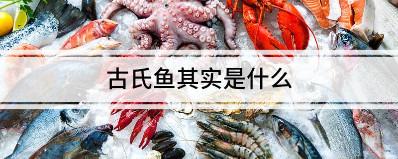 古氏鱼其实是什么