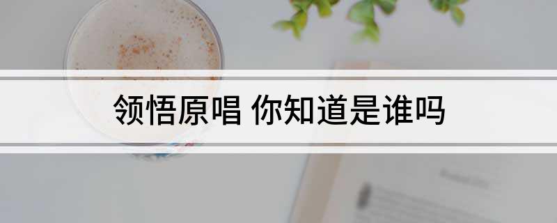领悟原唱 你知道是谁吗