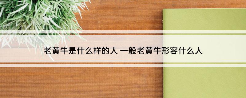 老黄牛是什么样的人 一般老黄牛形容什么人