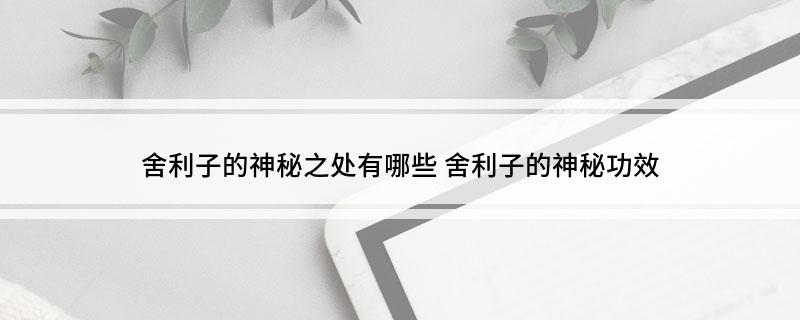 舍利子的神秘之处有哪些 舍利子的神秘功效