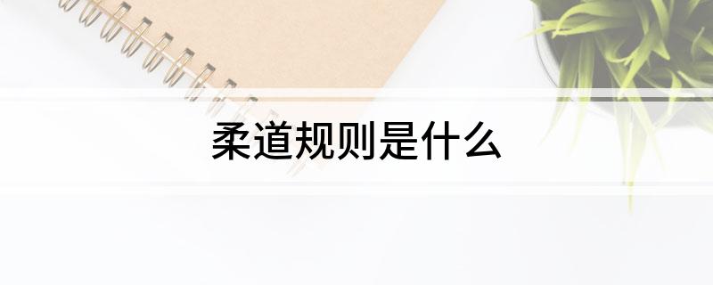 柔道规则是什么