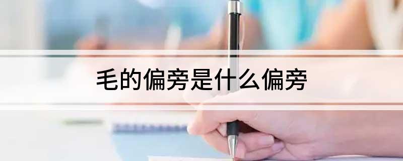 毛的偏旁是什么偏旁 毛的偏旁是啥呢