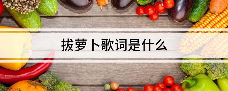 拔萝卜歌词是什么