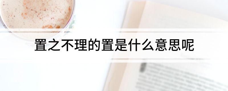 置之不理的置是什么意思呢