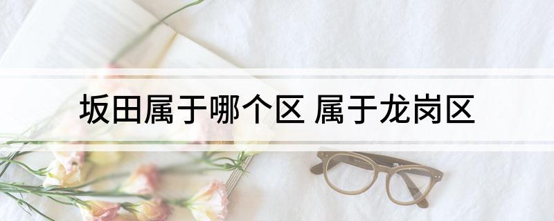坂田属于哪个区 属于龙岗区