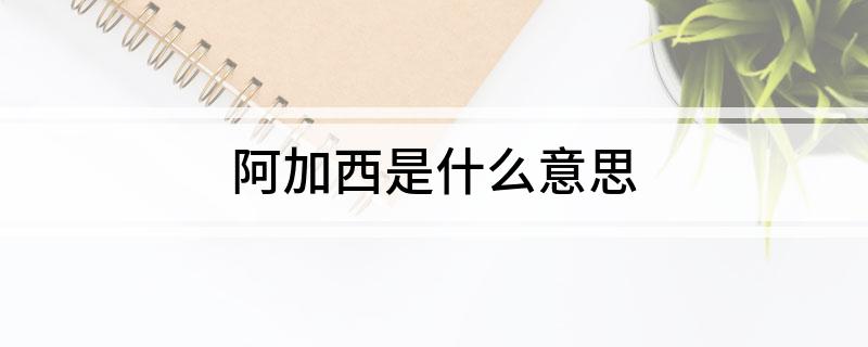阿加西是什么意思