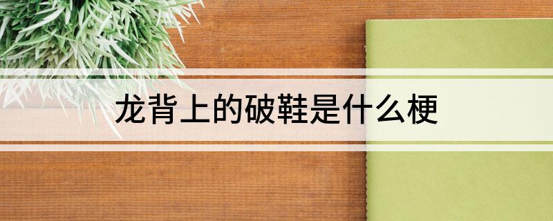 龙背上的破鞋是什么梗