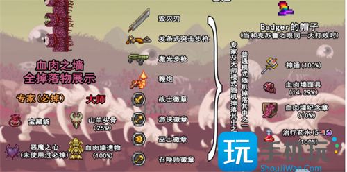 泰拉瑞亚boss掉落大全-boss掉落物品一览