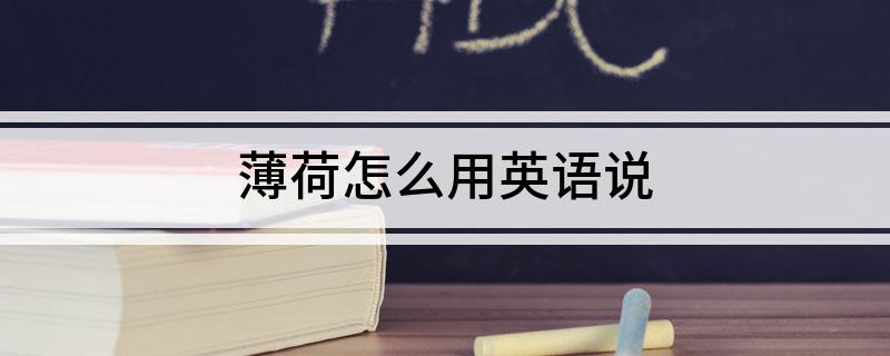 薄荷怎么用英语说