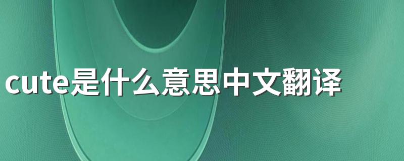 cute是什么意思中文翻译 cute的中文意思