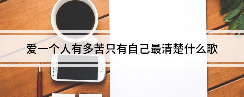 爱一个人有多苦只有自己最清楚什么歌