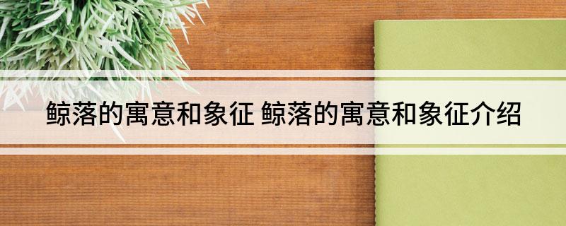鲸落的寓意和象征 鲸落的寓意和象征介绍