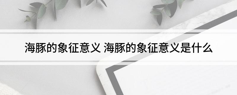 海豚的象征意义 海豚的象征意义是什么