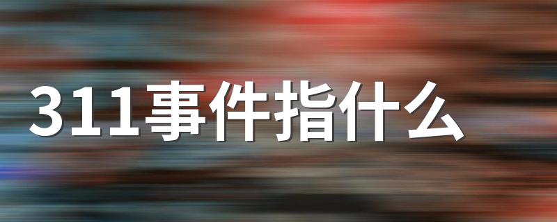 311事件指什么 311事件介绍