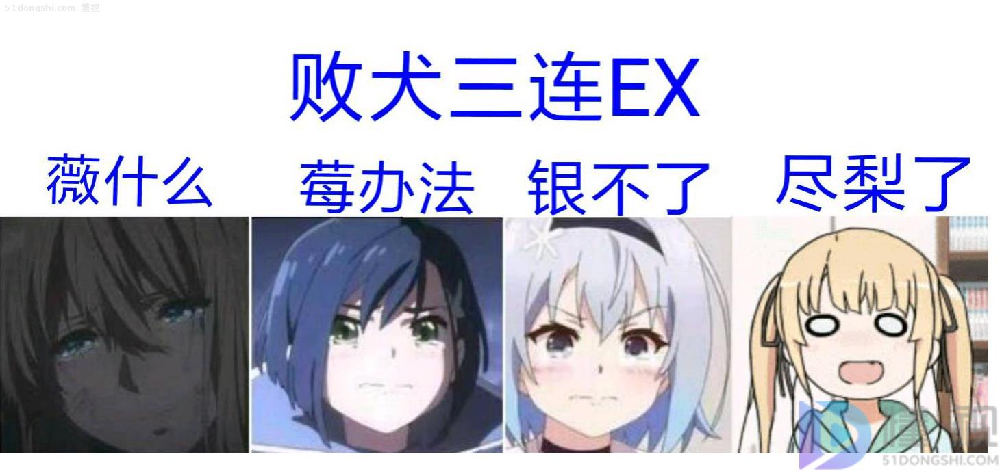 败犬是什么意思 什么是败犬