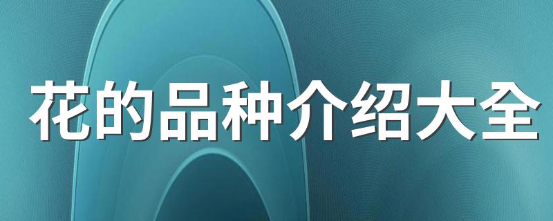 花的品种介绍大全 常见的花的种类大全