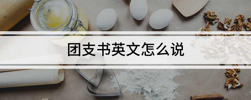 团支书英文怎么说